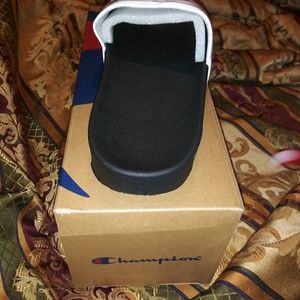CHAMPION SLIDES